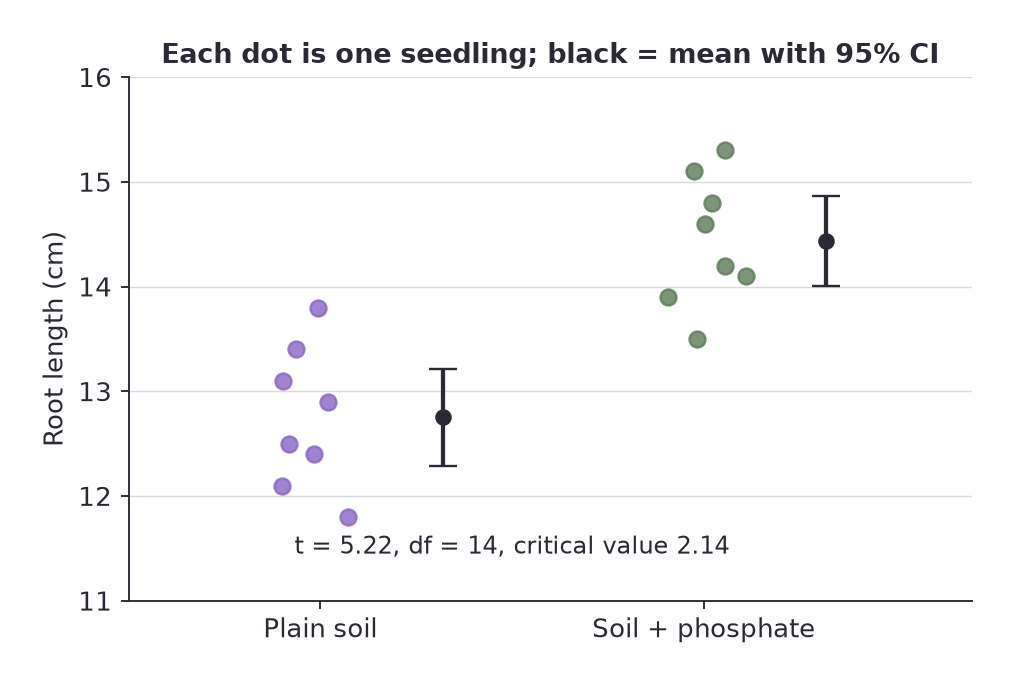 Dot plot of root lengths for seedlings in plain soil and in phosphate soil, with each group mean and 95% confidence interval
