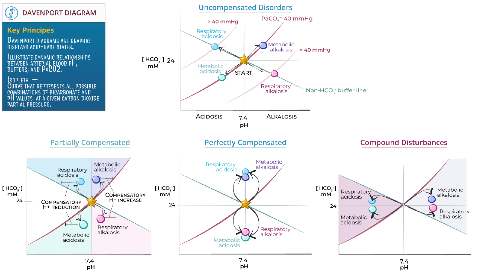 The Davenport diagram (plasma HCO3- vs. pH, at a given PaCO2 isopleth): uncompensated respiratory/metabolic acidosis and alkalosis plotted as displacement along or across the PaCO2=40mmHg isopleth from the normal point, with further panels showing partially compensated, perfectly compensated, and compound acid-base disturbances as compensatory movement toward or away from pH 7.4